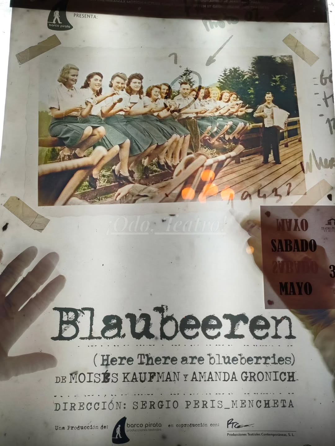 Blaubeeren